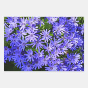 Blue Daisy-like Flowers Wrapping Paper Sheet