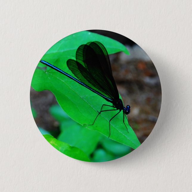 Blue Damselfly on a green leaf. 2 Inch Round Button (Front)