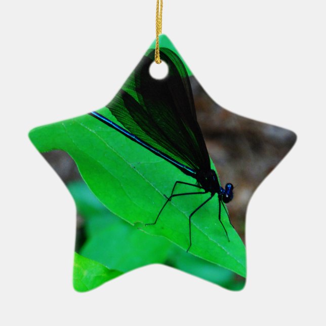 Blue Damselfly on a green leaf. Ceramic Ornament (Front)