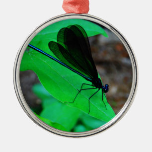 Blue Damselfly on a green leaf. Metal Ornament
