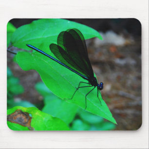 Blue Damselfly on a green leaf. Mouse Pad