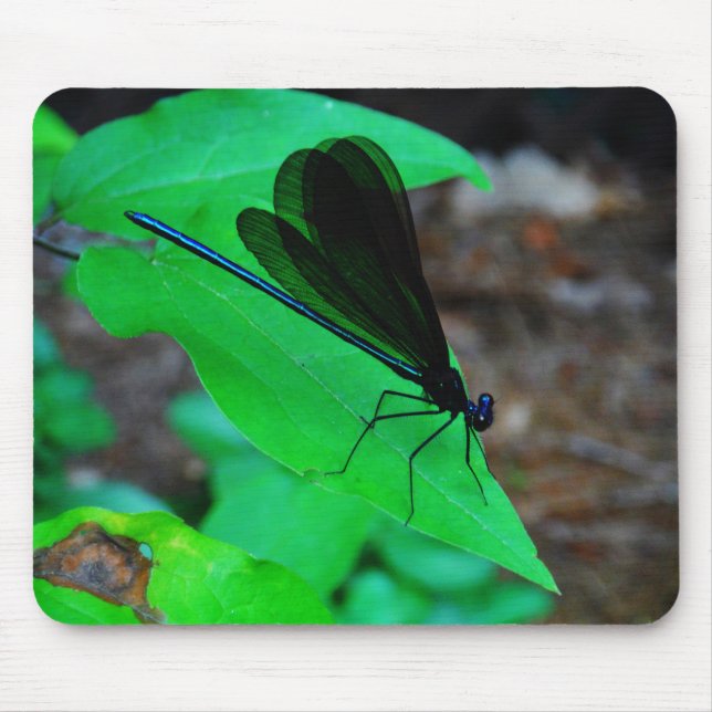 Blue Damselfly on a green leaf. Mouse Pad (Front)