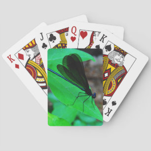Blue Damselfly on a green leaf. Playing Cards