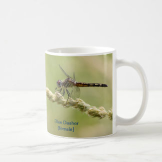 Blue Dasher Mug
