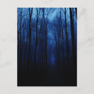 Blue Deep Forest Postcard