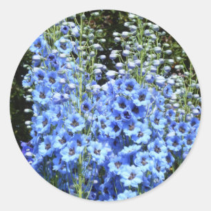 Blue Delphinium Floral Flowers Garden Nature Classic Round Sticker