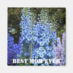 Blue Delphinium Floral Flowers Garden Nature Magne Magnet
