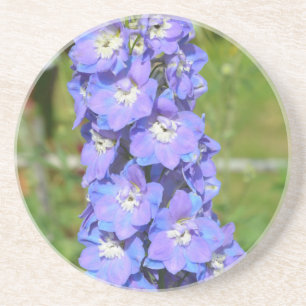 Blue delphinium flowers coaster