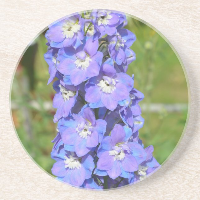 Blue delphinium flowers coaster (Front)