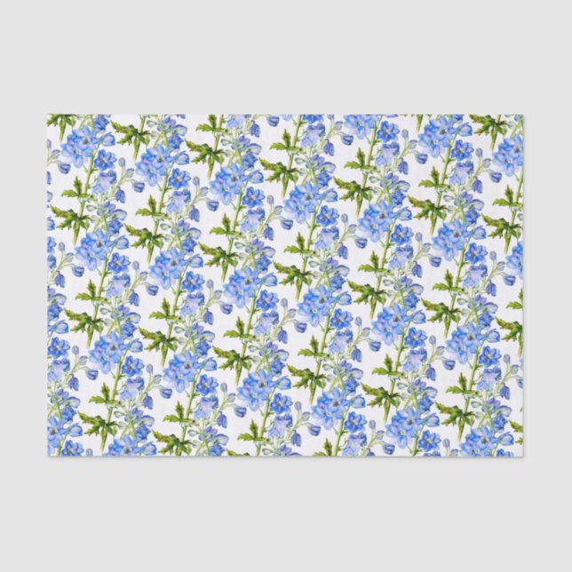 Blue delphinium flowers on white tissue paper (Front)