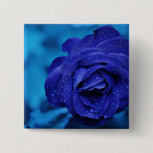 Blue Dewdrop Rose 2 Inch Square Button