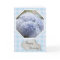 Blue Diamonds Hydrangea Flowers