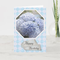 Blue Diamonds Hydrangea Flowers