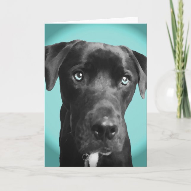 Blue dog card (Front)