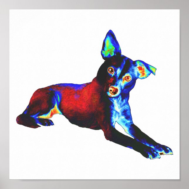 Blue Dog Poster (Front)