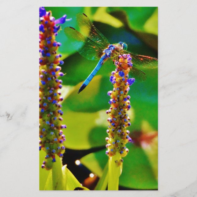 Blue Dragonfly and flowers Stationery (Front)