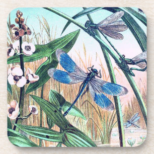 Blue Dragonfly at the pond illustration coasters