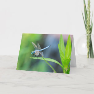 Blue Dragonfly Blank Greeting Card