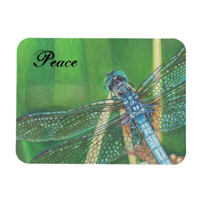 Blue Dragonfly colour pencil art on Magnet (Horizontal)