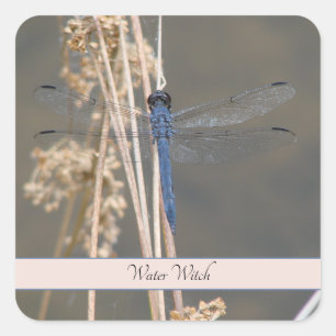 Blue dragonfly, customizable square sticker