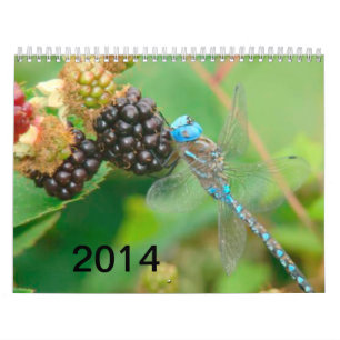 Blue Dragonfly Eating Raspberries Calendar