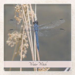 Blue dragonfly glass coaster