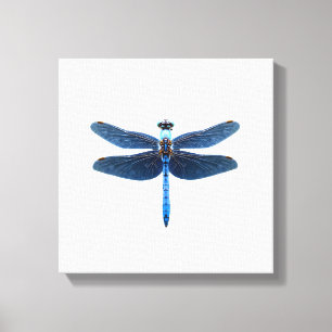 Blue Dragonfly - Insect Wildlife Animal Lover Ento Canvas Print