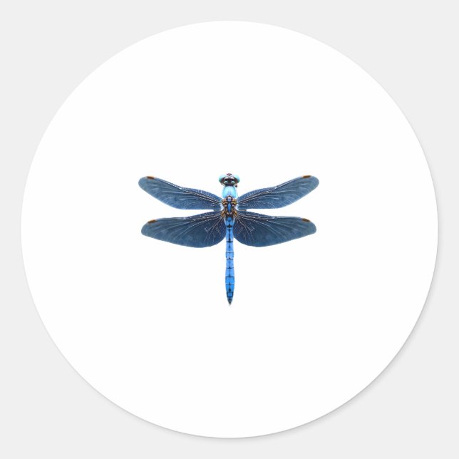 Blue Dragonfly - Insect Wildlife Animal Lover Ento Classic Round Sticker (Front)