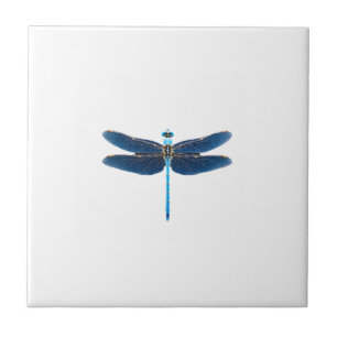 Blue Dragonfly - Insect Wildlife Animal Lover Ento Tile