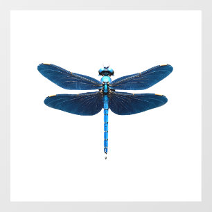 Blue Dragonfly - Insect Wildlife Animal Lover Ento Window Cling
