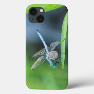 Blue Dragonfly iPad or Phone Case