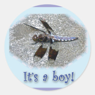 Blue Dragonfly It's a boy! New Baby Stickers