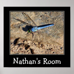 Blue Dragonfly Kids Room Personalized Poster