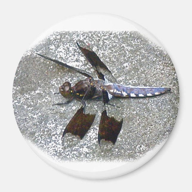 Blue Dragonfly Magnet (Front)