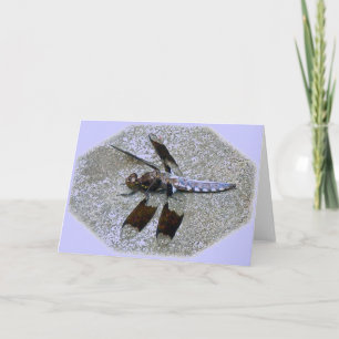 Blue Dragonfly Note Card