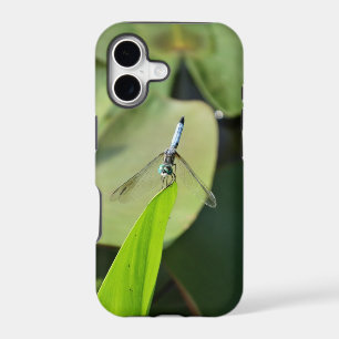 Blue Dragonfly on a green leaf.