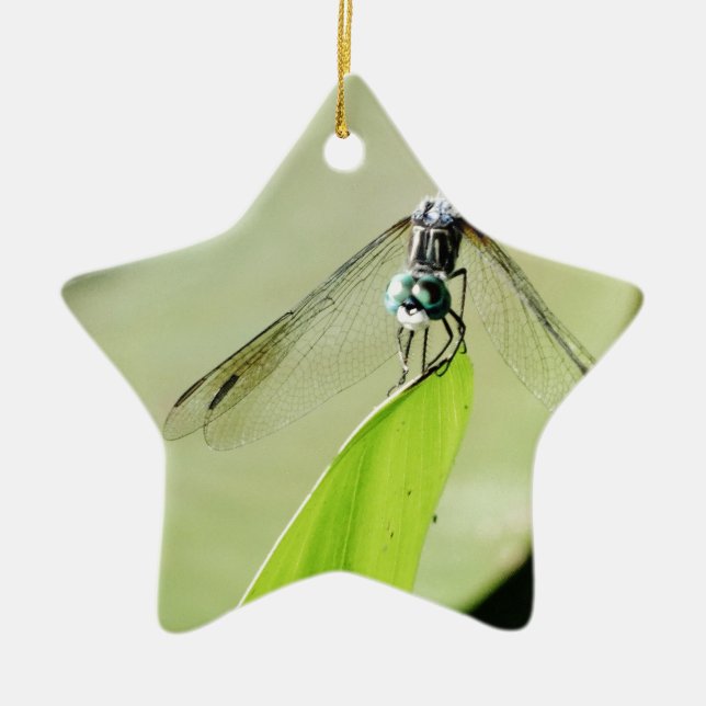 Blue Dragonfly on a green leaf Ceramic Ornament (Front)