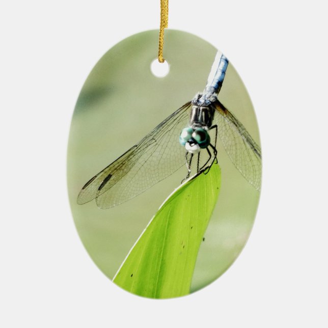 Blue Dragonfly on a green leaf Ceramic Ornament (Front)