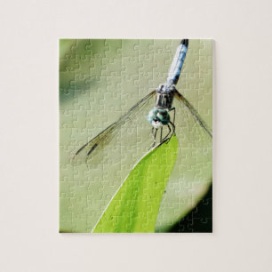 Blue Dragonfly on a green leaf Jigsaw Puzzle