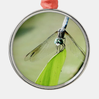 Blue Dragonfly on a green leaf Metal Ornament
