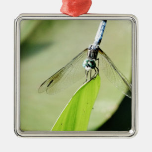 Blue Dragonfly on a green leaf Metal Ornament