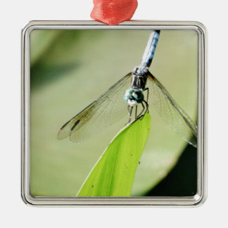 Blue Dragonfly on a green leaf Metal Ornament