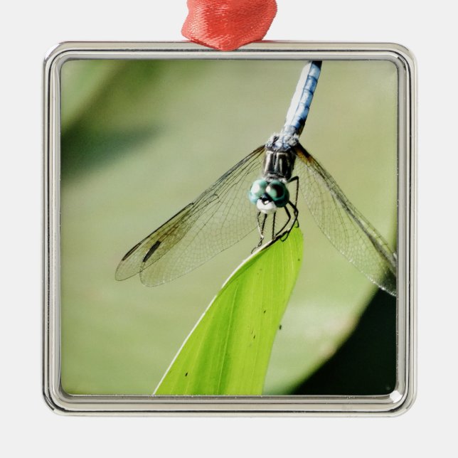 Blue Dragonfly on a green leaf Metal Ornament (Front)