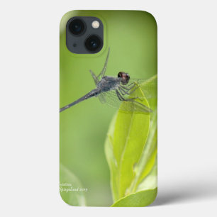 Blue Dragonfly on leaves iPad Case