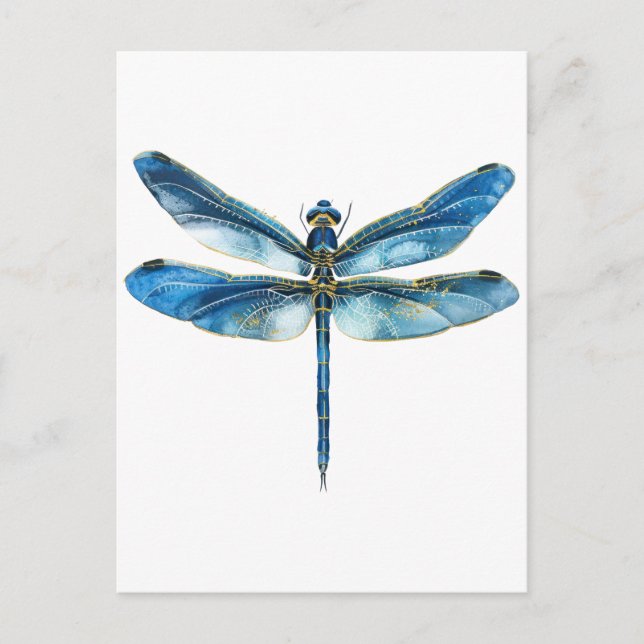 Blue dragonfly  postcard (Front)