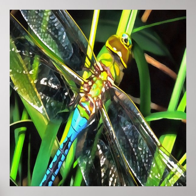 Blue Dragonfly Shimmering Wings Painting Poster (Front)