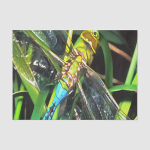 Blue Dragonfly Shimmering Wings Painting Tissue Paper