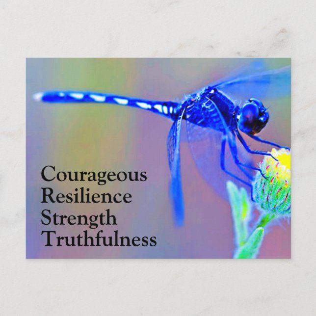 Blue Dragonfly Spirit Traits Postcard (Front)
