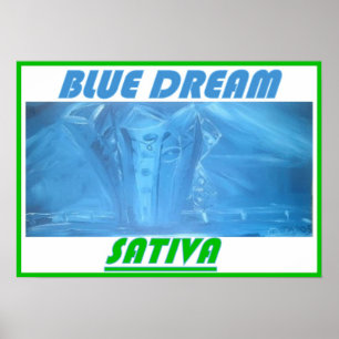 BLUE DREAM SATIVA POSTER