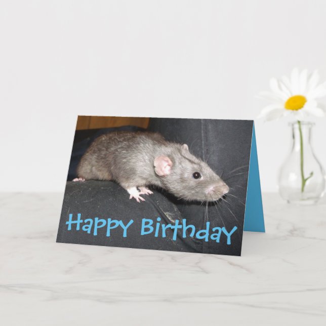 Blue Dumbo Rat birthday card (Small Plant)